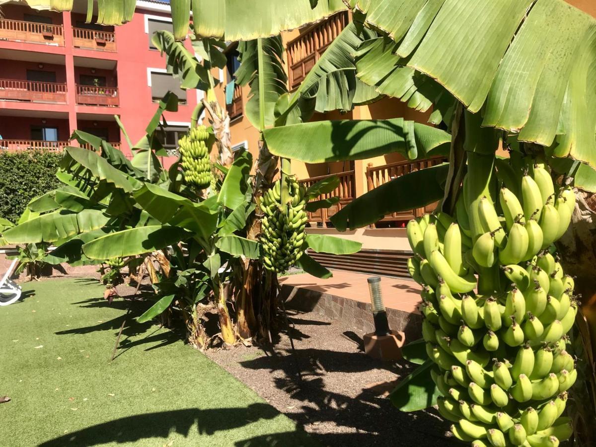 El Mocan Luxury Apartment Palm-mar Esterno foto